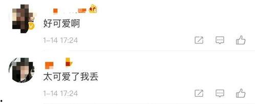 微信聊天回复吃瓜的表情啥意思,揭秘“吃瓜”表情背后的网络文化现象