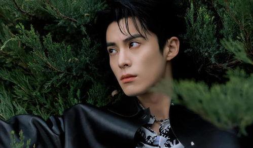 娱乐吃瓜王鹤棣微博,揭秘娱乐圈幕后故事