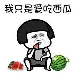 娱乐吃瓜君是个什么梗,揭秘娱乐圈那些鲜为人知的幕后故事